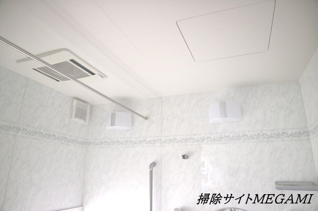 お風呂の天井についた黒カビの取り方 掃除が楽になるカビの予防法
