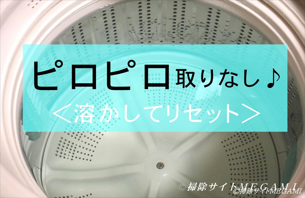 洗濯槽 汚れを溶かして楽に掃除する方法 ピロピロ取りなし