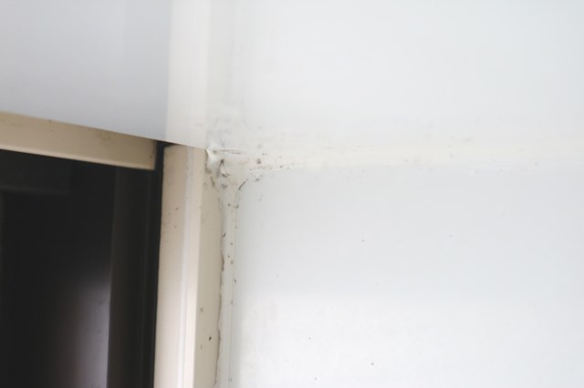 お風呂の窓枠についたカビや白い汚れを取る方法・時間をかけず簡単に済ませるコツ！