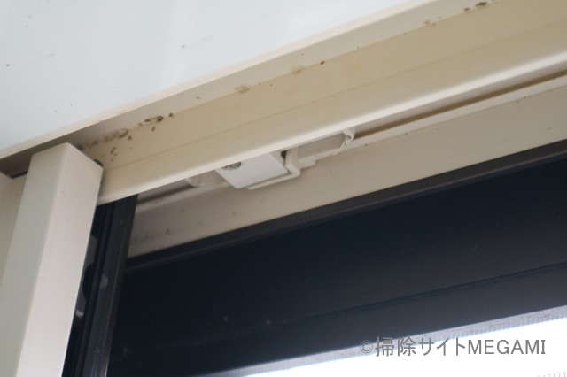 お風呂の窓枠に生えたカビ
