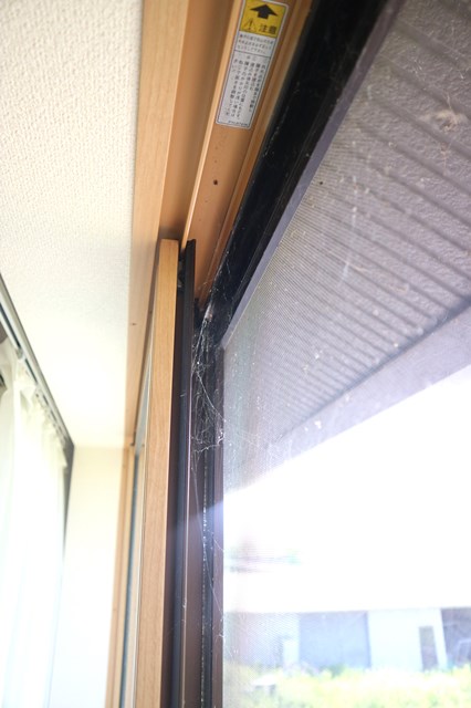 クモの巣だらけの窓