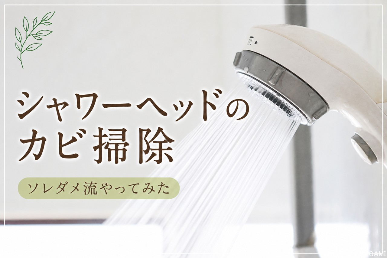 シャワーヘッドの掃除方法|ソレダメで紹介されたカビ取りを実際に試してみた