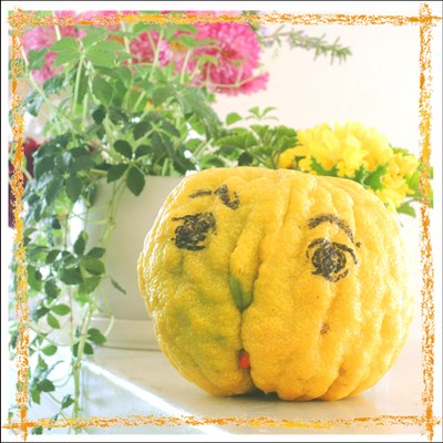 お風呂の排水溝掃除